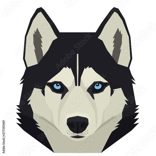 Vector illustration of the dog's head Siberian Husky Isolated object