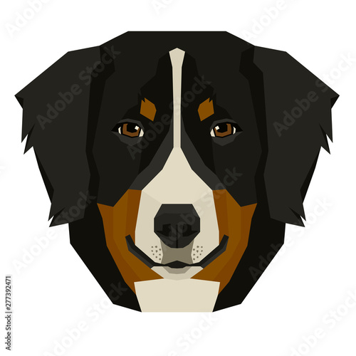 Vector illustration of the dog's head Bernese Mountain Dog Isolated object