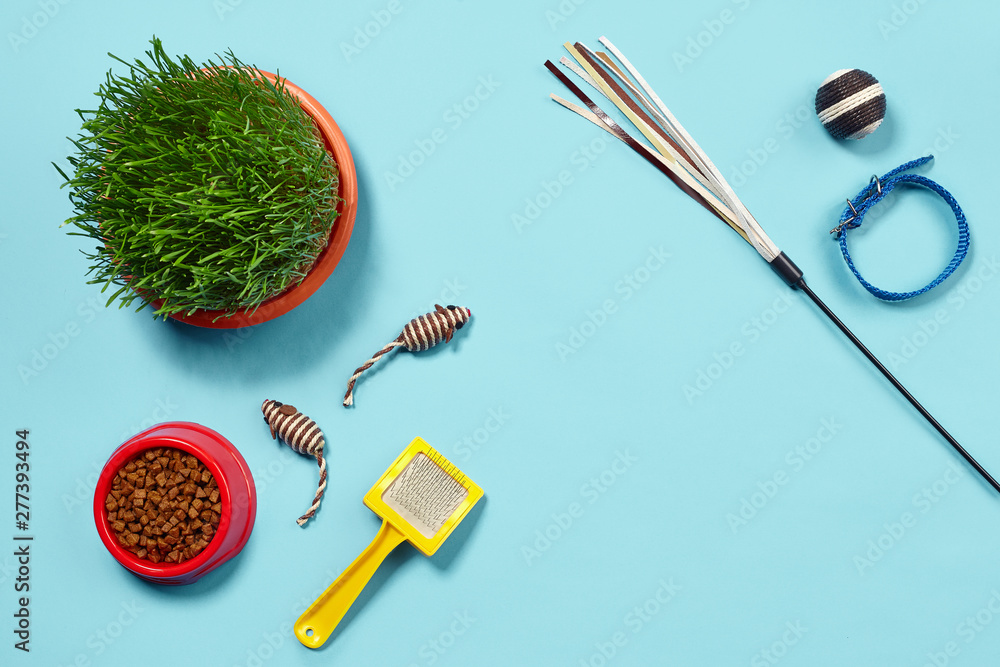 Flat lay composition with accessories for a cat on a blue background. Pet care. Flat lay composition with accessories for a cat on a blue background. Pet care.
