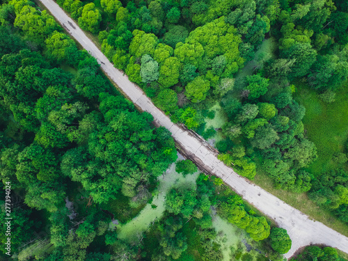 Old bridge in the middle of a small , overgrown river in the forest from a height
