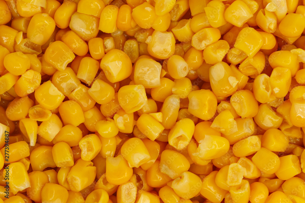 Yellow corn seeds background seamless texture close up Yellow corn seeds background seamless texture close up