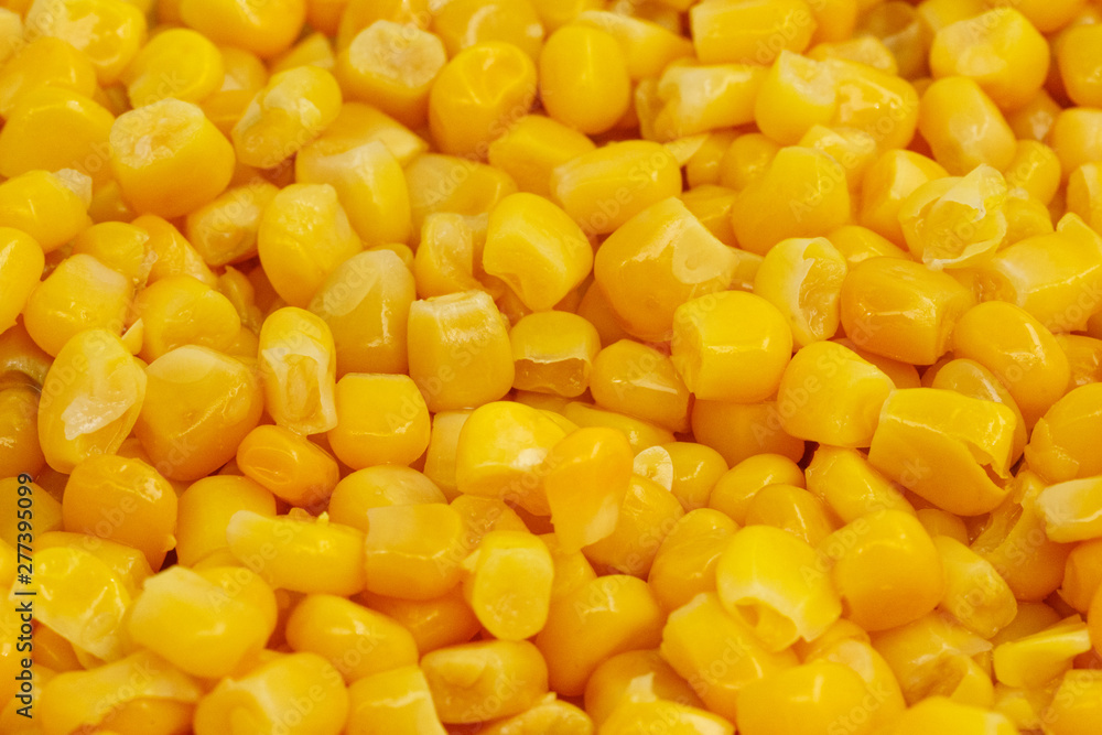 Yellow corn seeds background seamless texture close up Yellow corn seeds background seamless texture close up