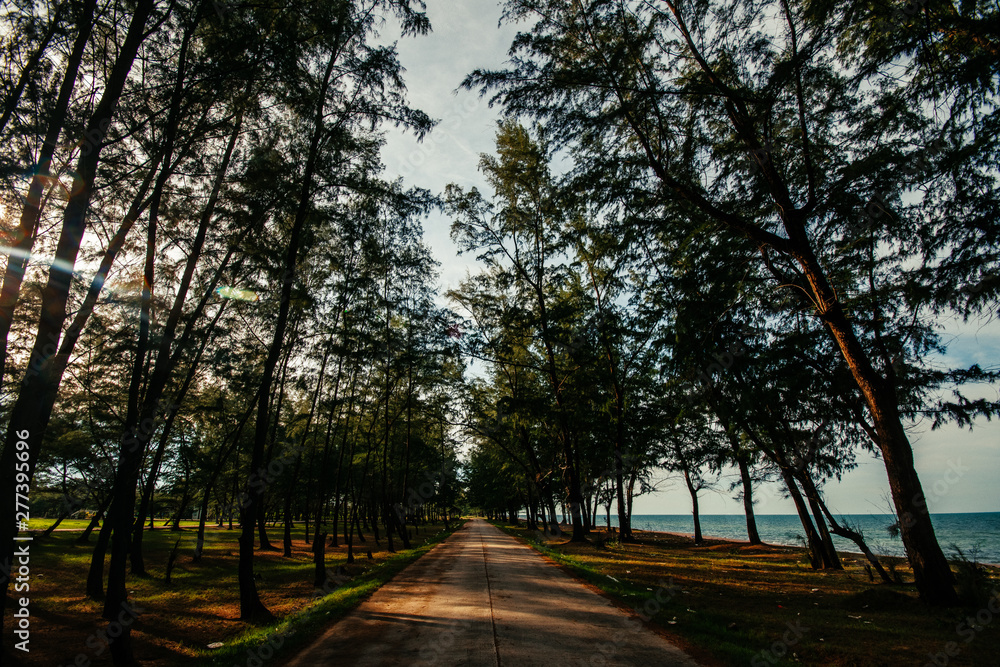 Fototapeta premium sea autumn in the park