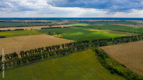 Принти на полотні Aerial photograph area on agriculture and village