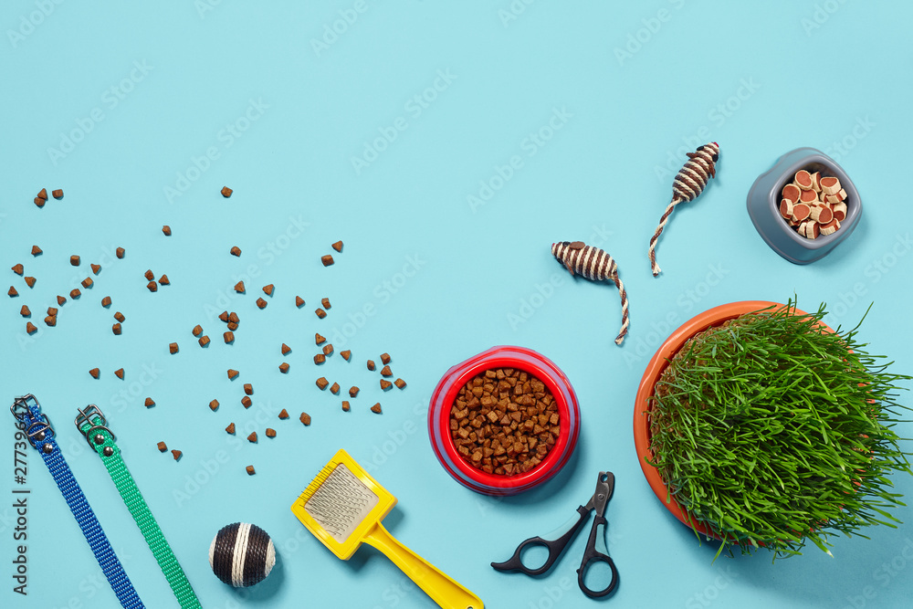 Flat lay composition with accessories for a cat on a blue background. Pet care. Flat lay composition with accessories for a cat on a blue background. Pet care.