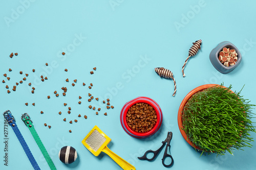 Flat lay composition with accessories for a cat on a blue background. Pet care.