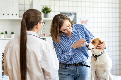 The veterinarian and the client with the dog to discuss the treatment in a veterinary clinic.