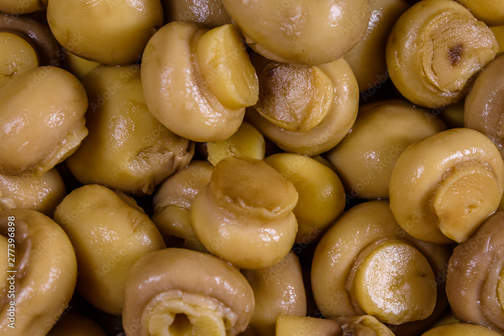 Texture of the canned mushrooms for the background Texture of the canned mushrooms for the background