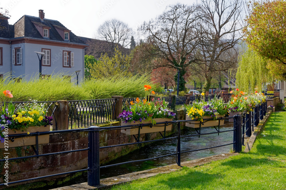 Rivière dans un village alsacien au printemps coloré Rivière dans un village alsacien au printemps coloré
