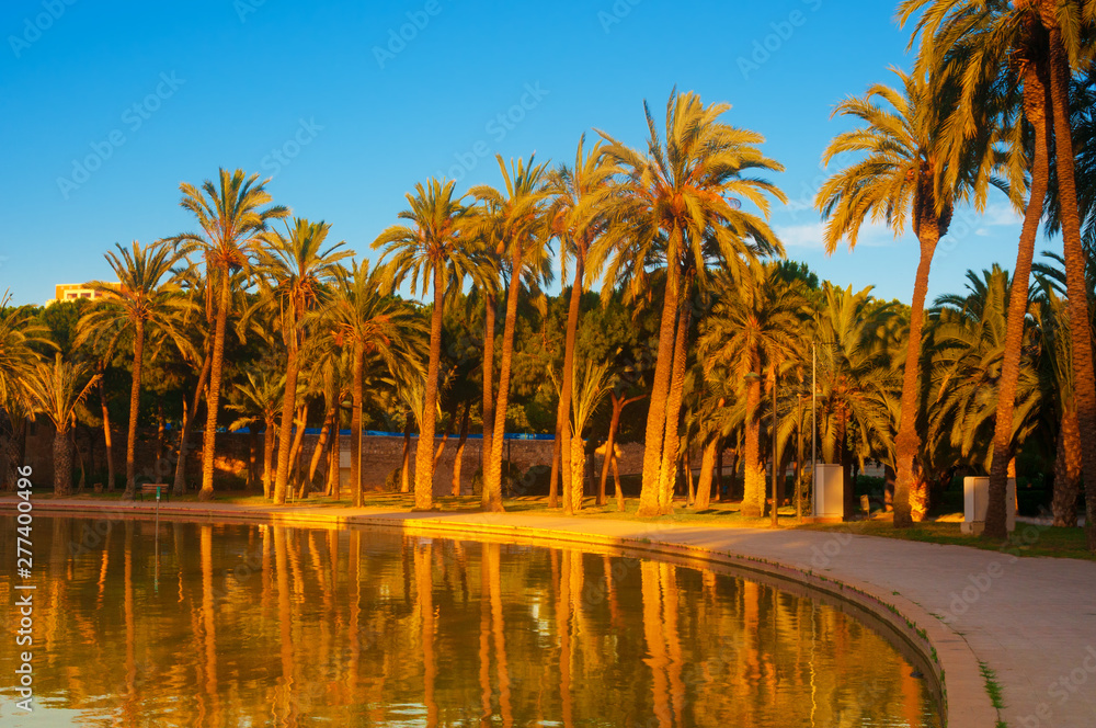 Palm trees and pond in park at sunset in Valencia, Spain