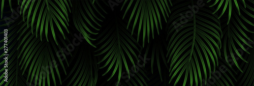 Branch palm realistic. Leaves and branches of palm trees. Tropical leaf background. Green foliage, tropic leaves pattern. vector illustration