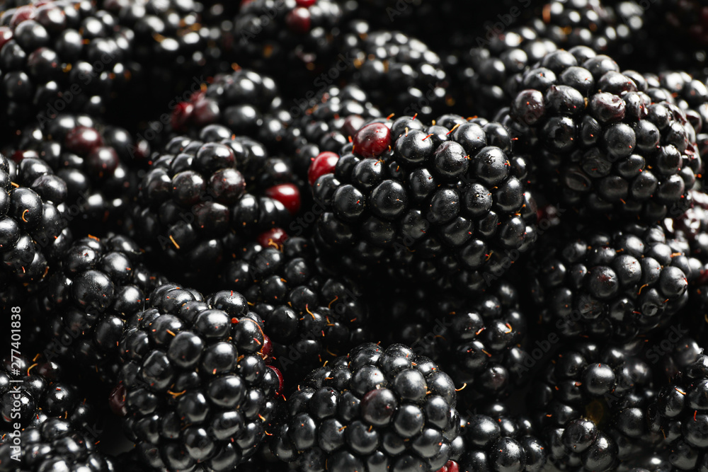 Fresh blackberry on whole background, close up Fresh blackberry on whole background, close up