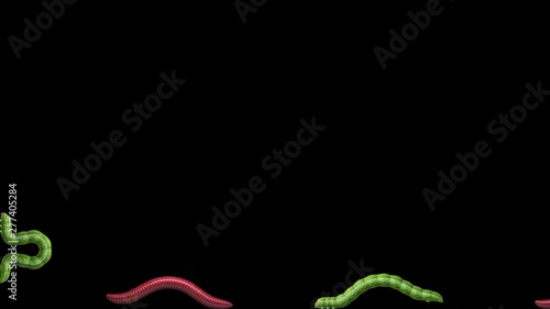 A lot of green caterpillars and red worms crawling around the edge of the screen. Transparent background ProRes 4444 in 4k UHD resolution. 3D animation with alpha channel. photo