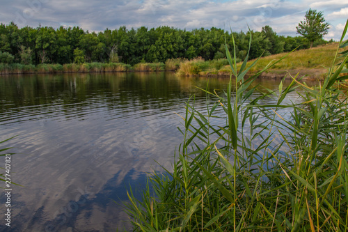 Fototapeta Naklejka Na Ścianę i Meble -  reservoir in the city park recreation park 