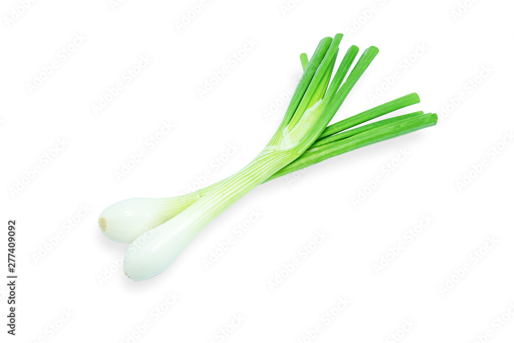 Green onion isolated on white background. Fresh scallion, File contains with clipping path so easy to work. Green onion isolated on white background. Fresh scallion, File contains with clipping path so easy to work.