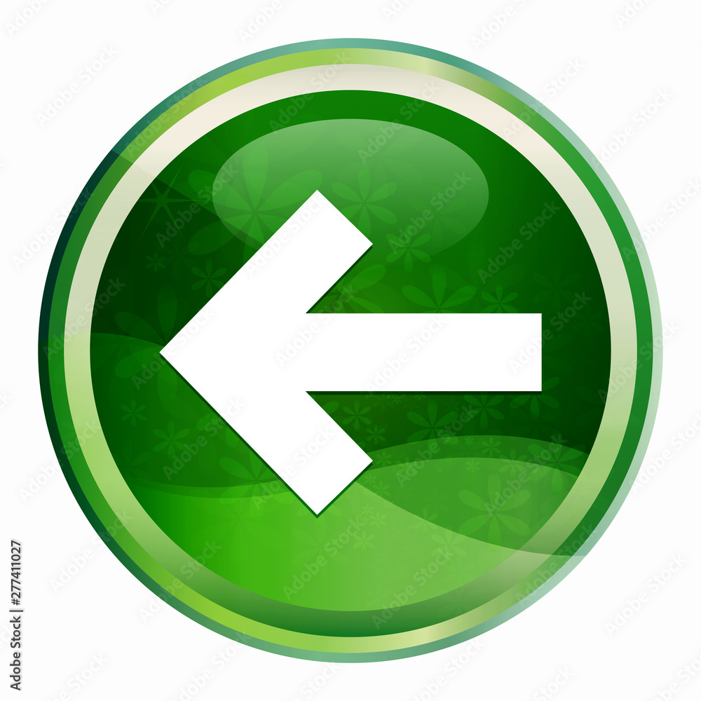 Back arrow icon Natural Green Round Button