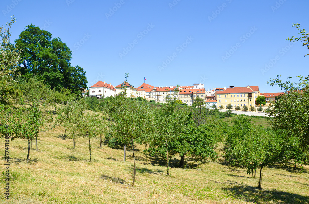 Green gardens on hill Petrin in the old town of Prague, Czech Republic. Historical houses on the hill in background. Green trees. Clear day. Popular view point and free time place