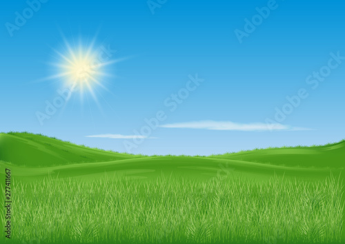 vector landscape. green meadow to the horizon. blue sky with clouds. bright sun