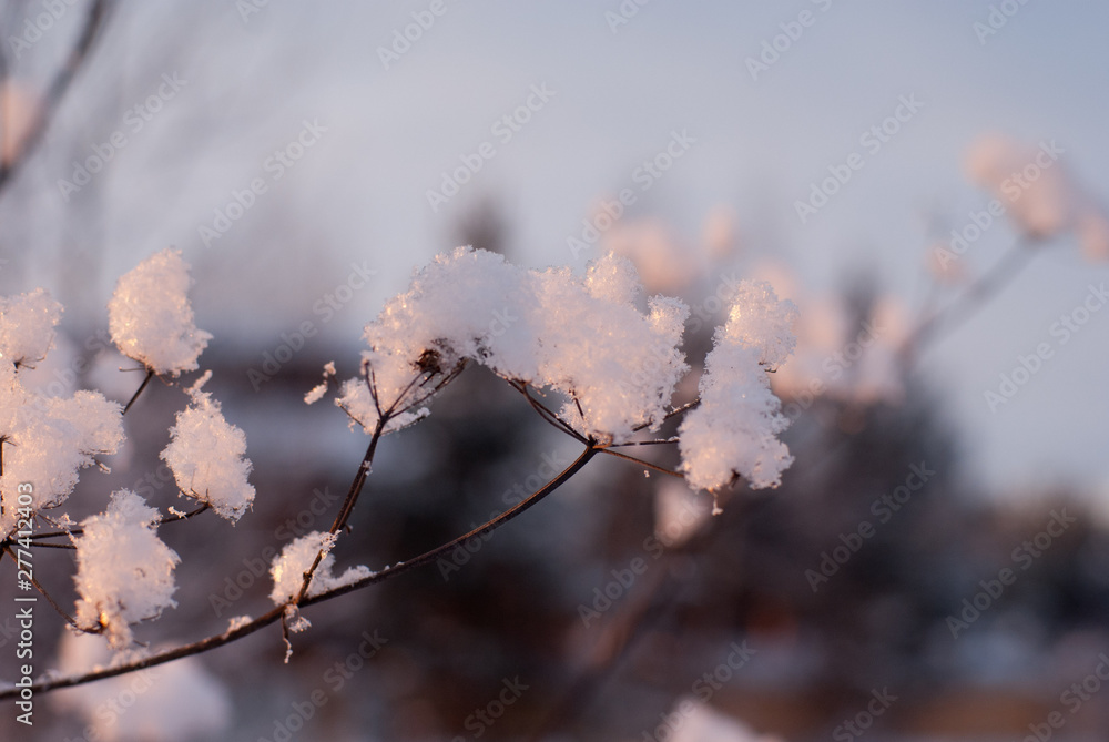 Obraz premium Winter 