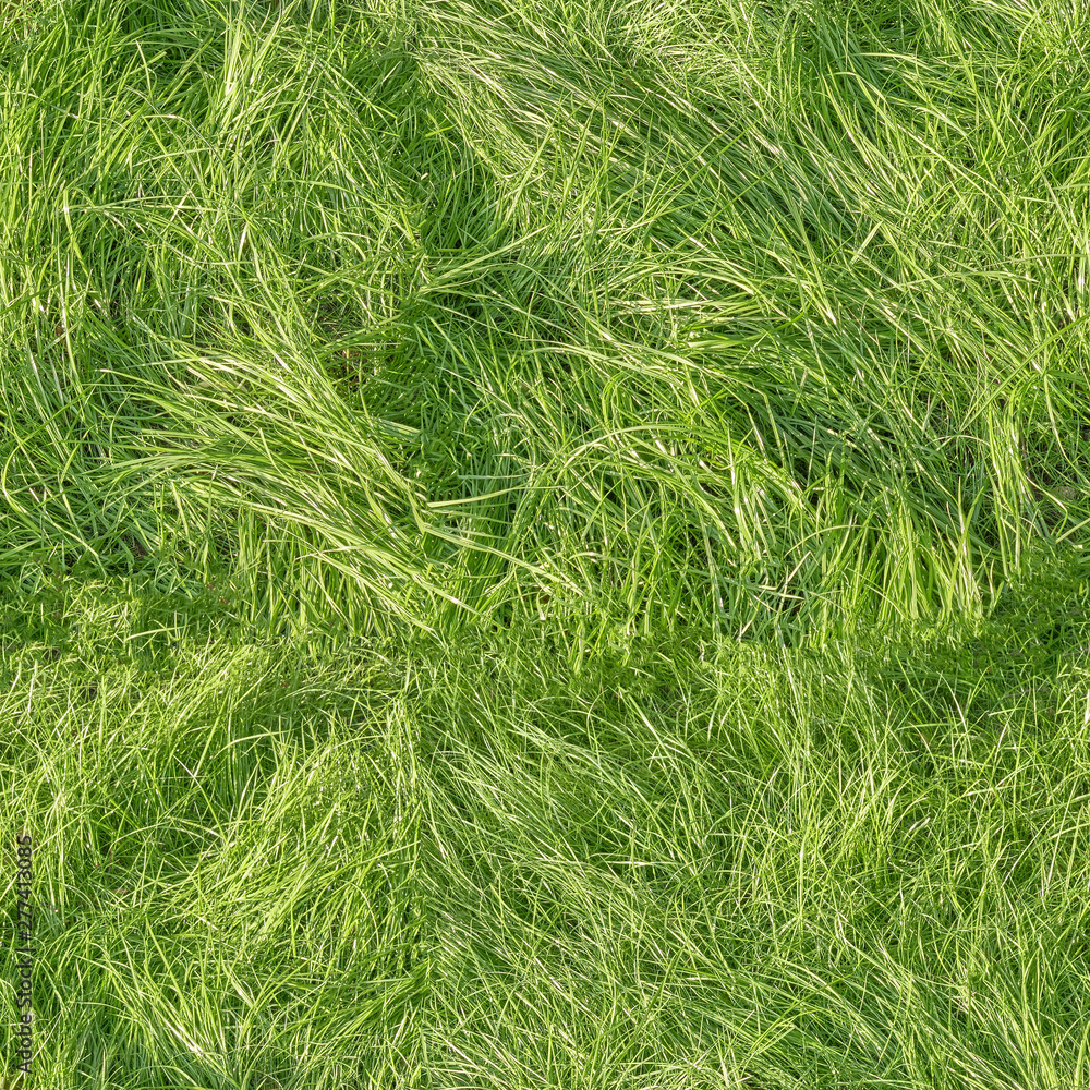 green grass with uncut plants seamless square pattern background top