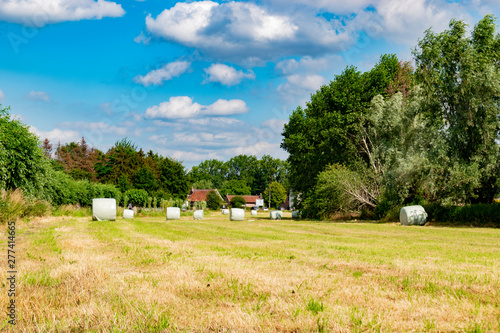 wrapped round hay bales