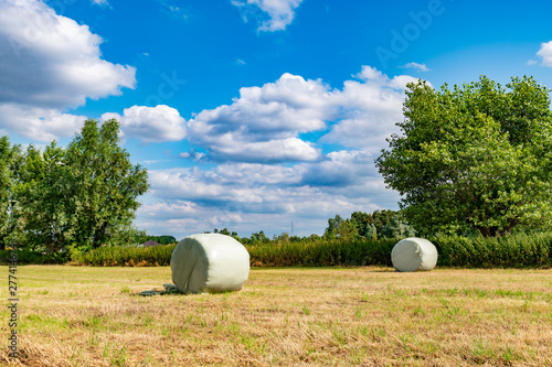 wrapped round hay bales