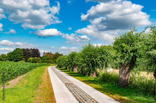 country cobble road