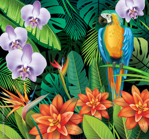 Background with tropical jungle plants