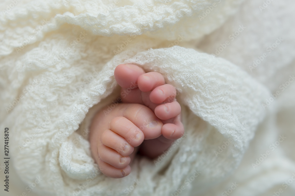 baby feet on background. feet of a newborn baby. little foot baby feet on background. feet of a newborn baby. little foot