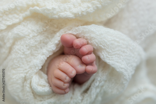 baby feet on background. feet of a newborn baby. little foot © Svetlana