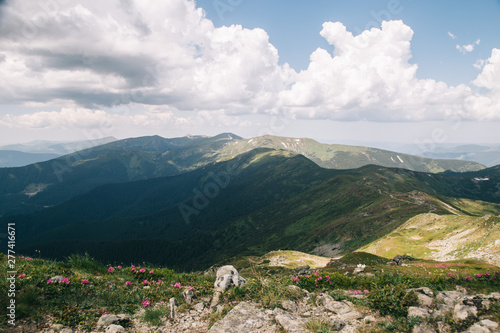 Green forest in the Carpathian mountains near Popivan Chornohirskiy photo