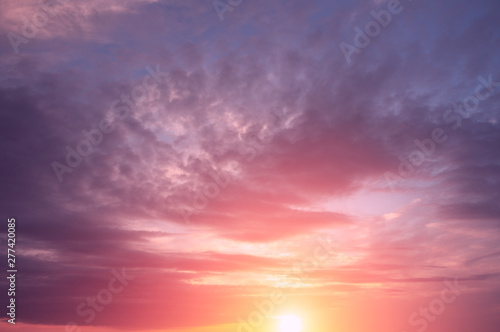 Warm pink sunset in the spring evening.