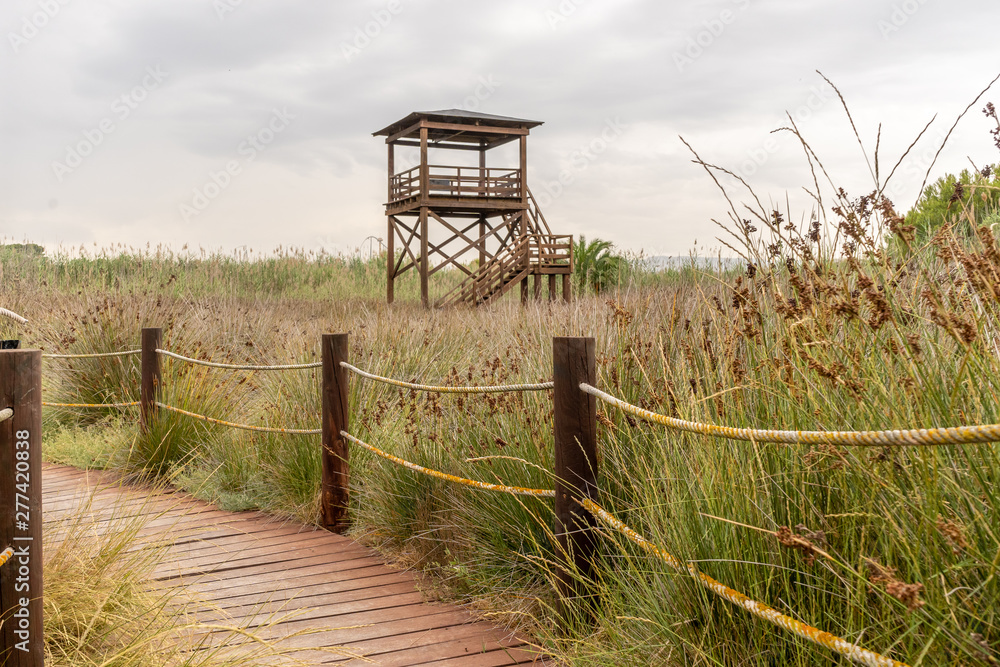 Wooden observatory for birds in the field