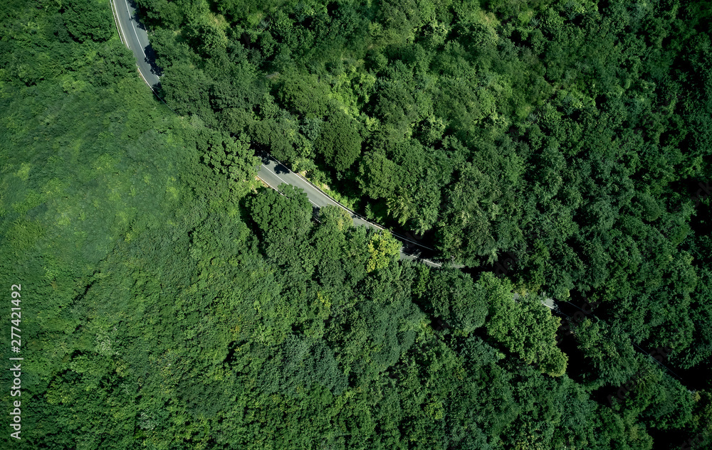 Aerial view forest Aerial view forest