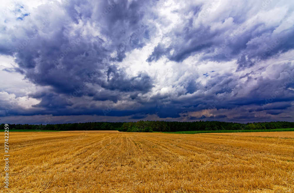 beautiful sky with clouds over the field near the forest