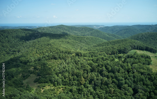 Aerial view forest © StudioMonkey
