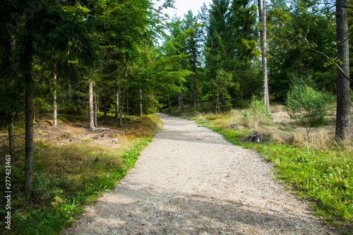 Rezerwat Przyrody Wieżyca kaszubski park krajobrazowy kaszuby widok las ostrzycki jezioro ostrzyckie  dolina pagórki photo