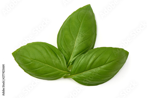 Sweet basil herb leaves, close-up, isolated on white background. Sweet Genovese basil