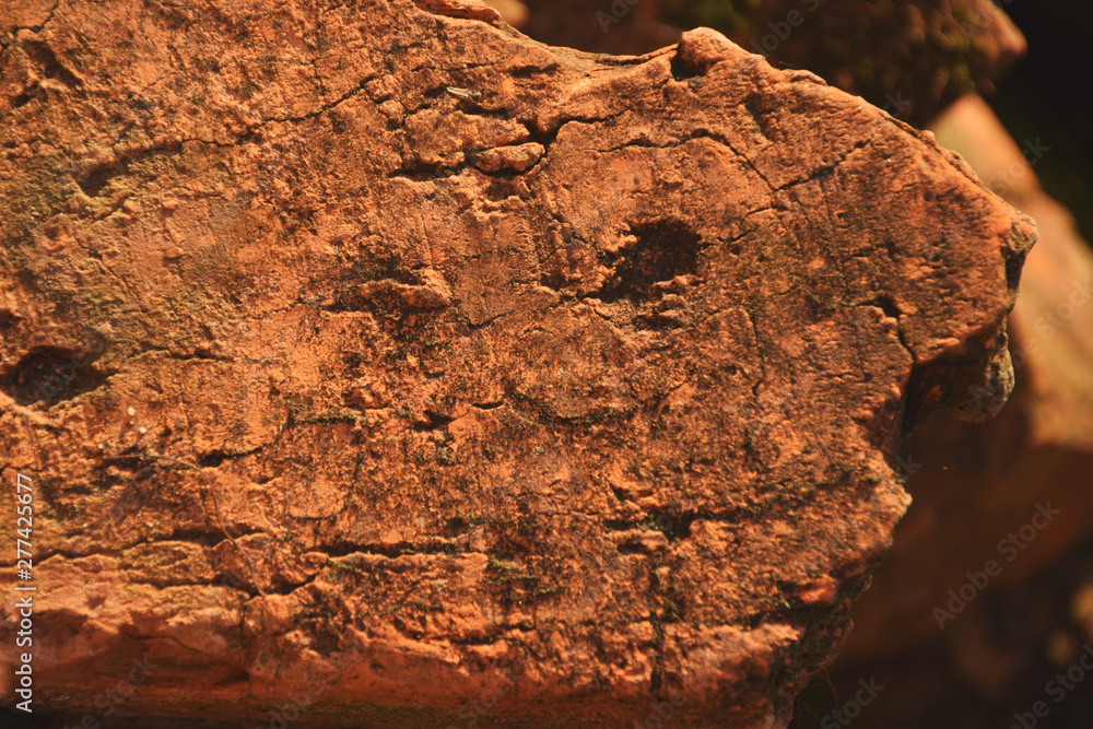 Fototapeta premium The photo shows the texture of an old brick closeup.