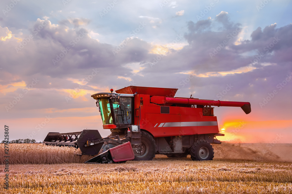 Combine harvester harvests in the field at sunset. Improved bright light, selective focus. Combine harvester harvests in the field at sunset. Improved bright light, selective focus.