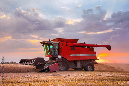 Combine harvester harvests in the field at sunset. Improved bright light  selective focus.