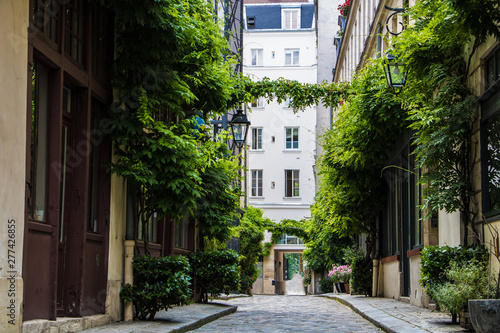 Parisian street with green vines on the walls of residential buildings in Illes district of Paris, France