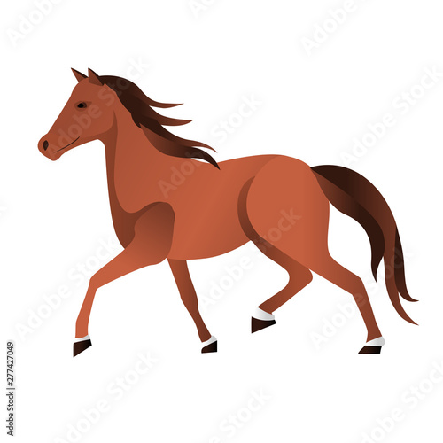 Single basic simple horse illustration in brown natural color. vector  © Катя Лозовская