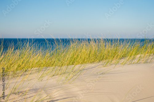 Czołpino wydma wydmy morze bałtyckie bałtyk piasek plaża © Dariusz