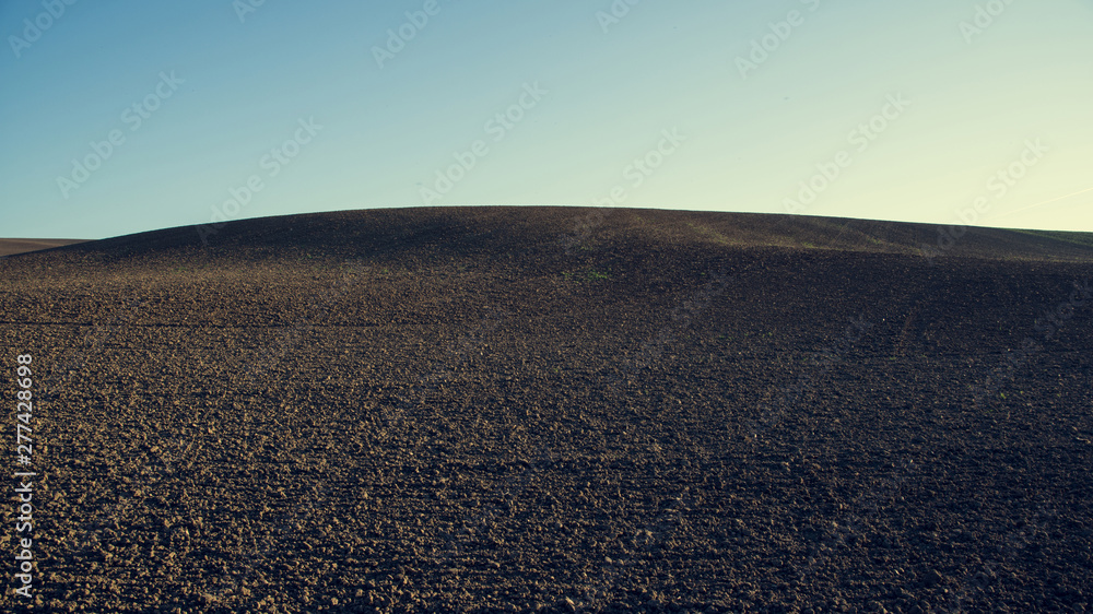 Fototapeta premium desert empty field