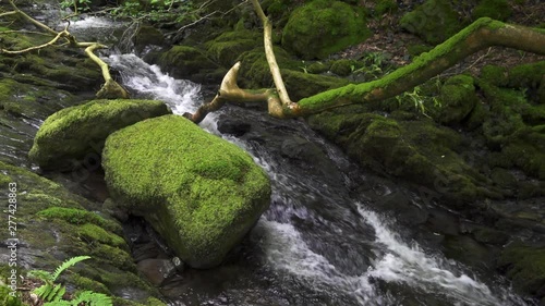 UK June 2019 - Slow motion shots of a stream flowing over blue-grey slate rock, cascading into waterfalls in-between lush, green moss covered rocks, ferns, broken branches and ancient trees. photo