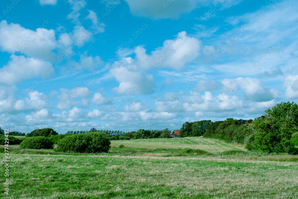 green field and blue sky with fluffy clouds. Natural background
