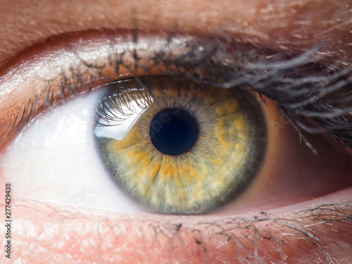 Human eye detail