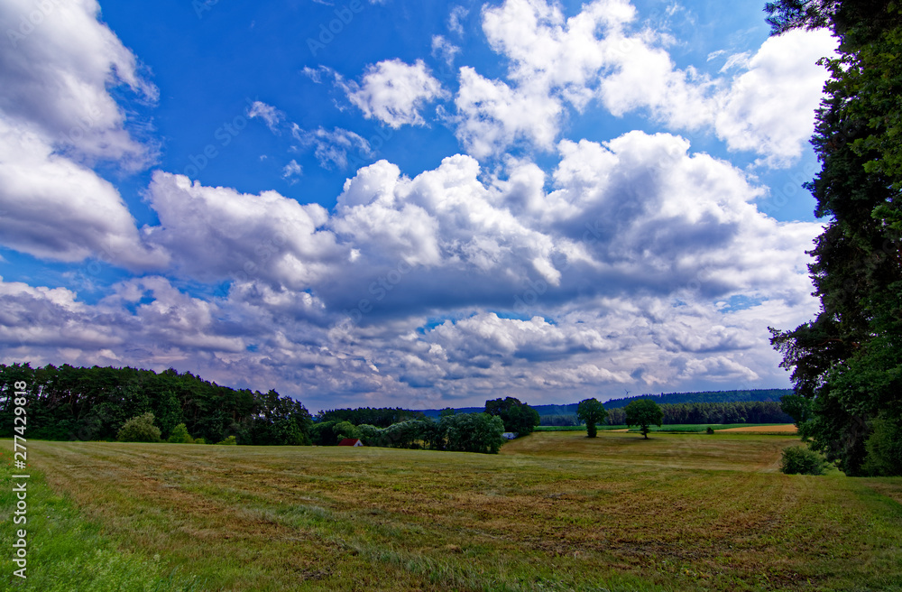 beautiful sky with clouds over the field near the forest beautiful sky with clouds over the field near the forest