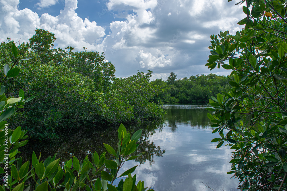 Lago escondido en la reserva ecológica Varahicacos en Varadero Cuba